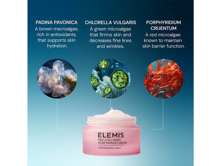 ELEMIS Pro-Collagen Rose Marine Cream