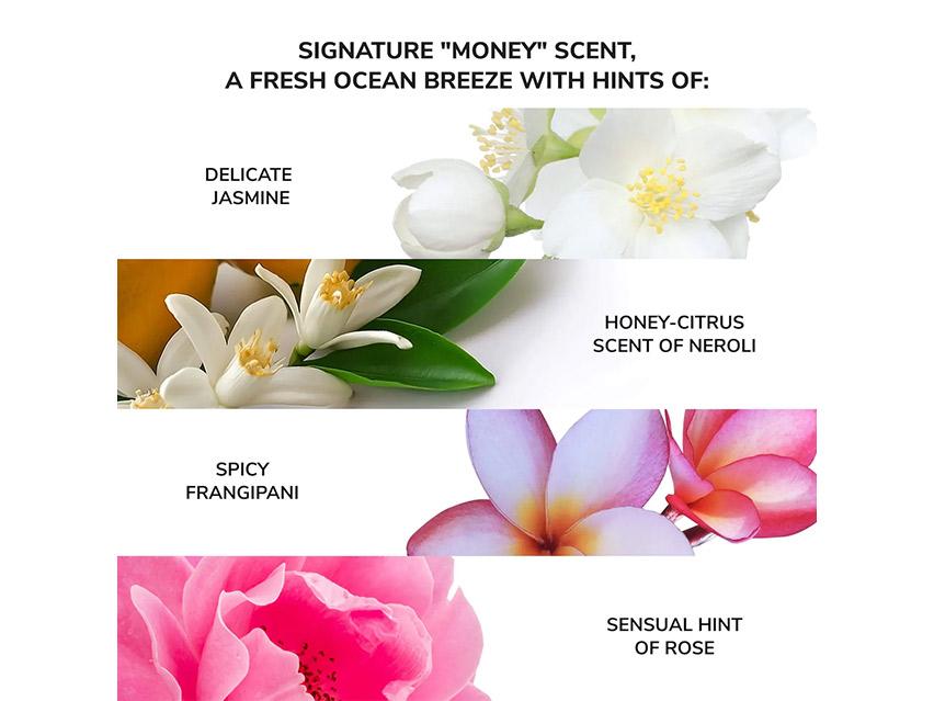 Color Wow Money Laundering Glossing Conditioner