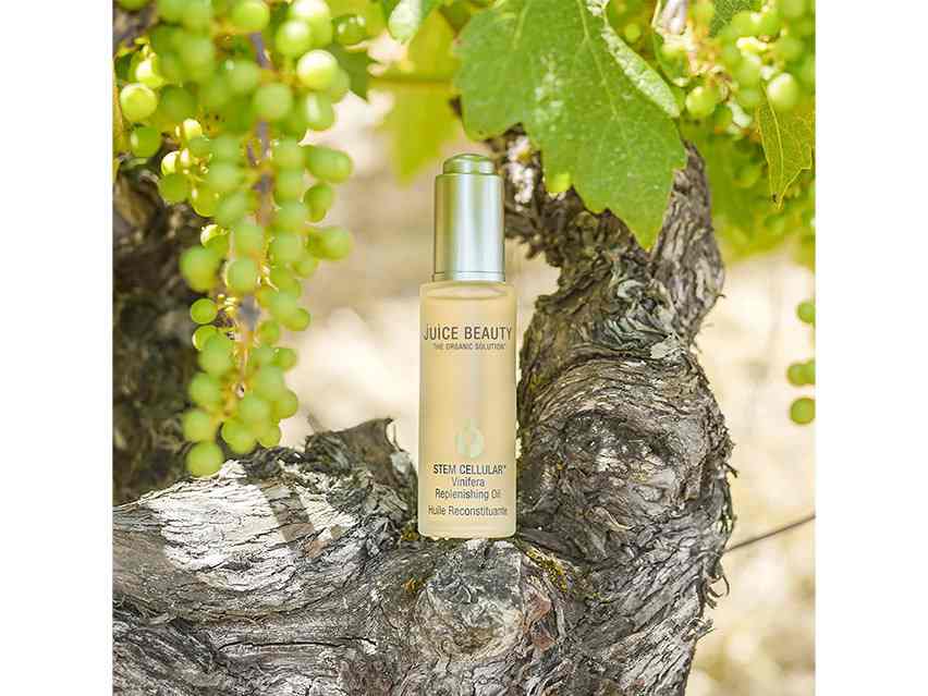 Juice Beauty S Cellular Vinifera Replenishing Oil