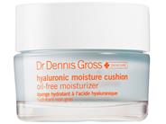 Dr. Dennis Gross Skincare Hyaluronic Moisture Cushion, a Dr. Dennis Gross moisturizer