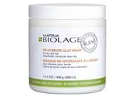 Biolage R.A.W. Rehydrate Mask