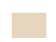 NewGel+ Silicone Sheet For Scars - 5"x6" - Beige