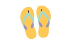 Summer Shopping Guide