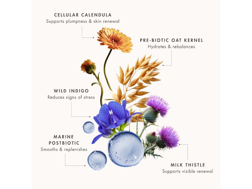 EVE LOM Youth Firming Sheet Mask