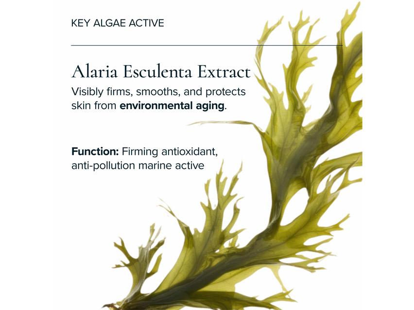 MARA Universal Face Oil