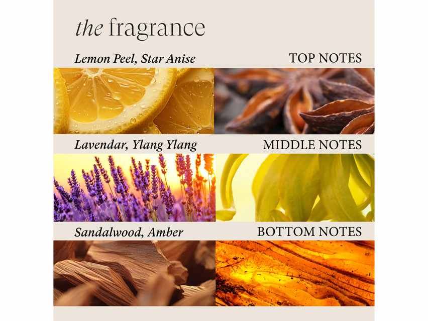 L'ANZA Scalp Therapy Balancing Shampoo