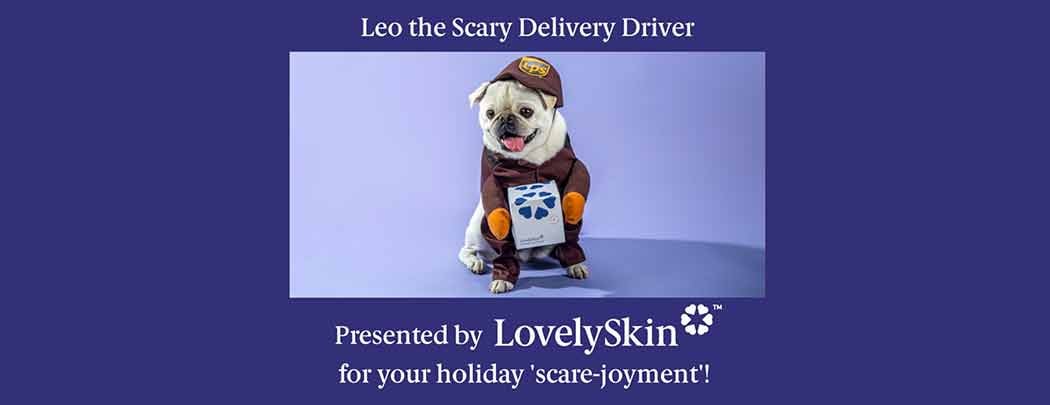 Leo the Scary Delivery Pug Driver