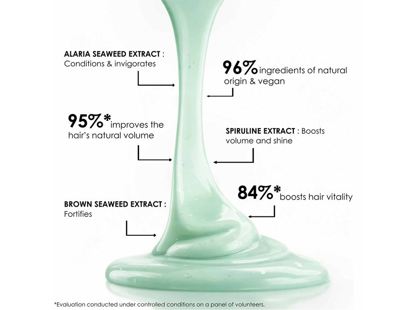 Leonor Greyl Bain Volumateur Aux Algues Volumizing Shampoo for Fine, Long or Limp Hair