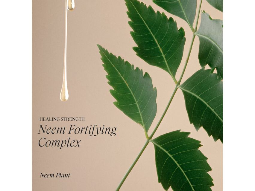 L&#39;ANZA Healing Strength Conditioner