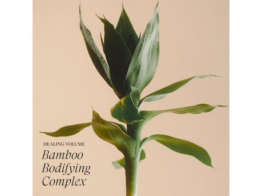 L&#39;ANZA Healing Volume Conditioner