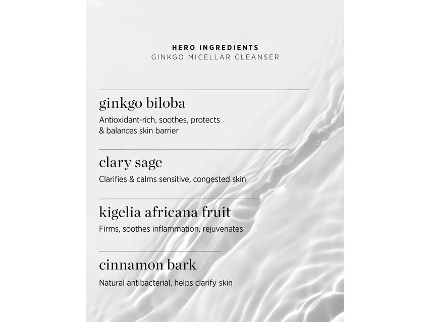 Ere Perez Ginkgo Micellar Cleanser