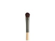 Jane Iredale Eye Shader Brush