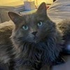 Profile Picture for Jackie