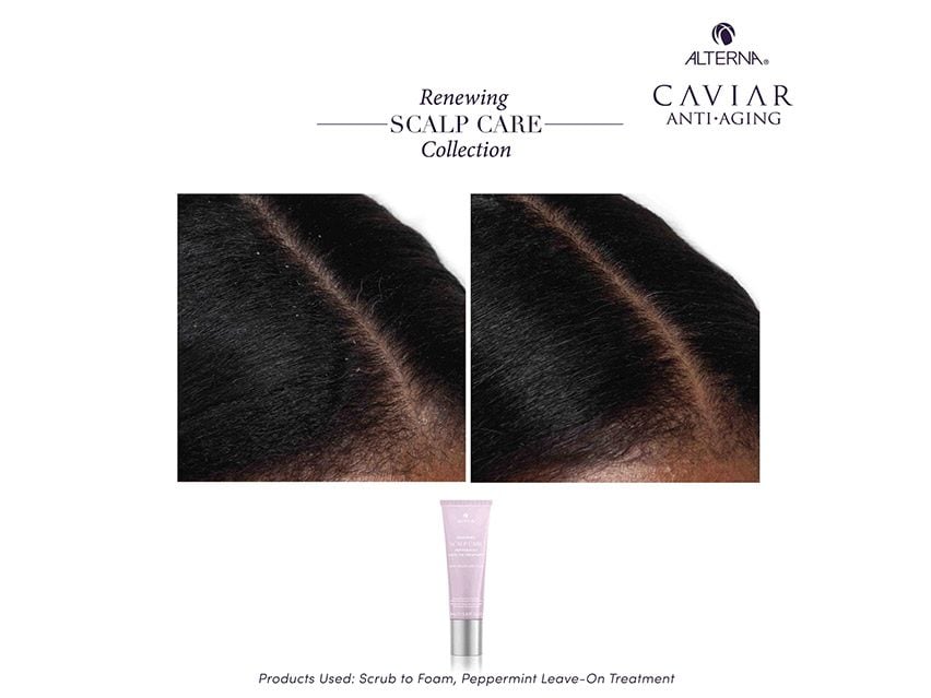 Alterna Renewing Scalp Care Peppermint Leave-On Treatment