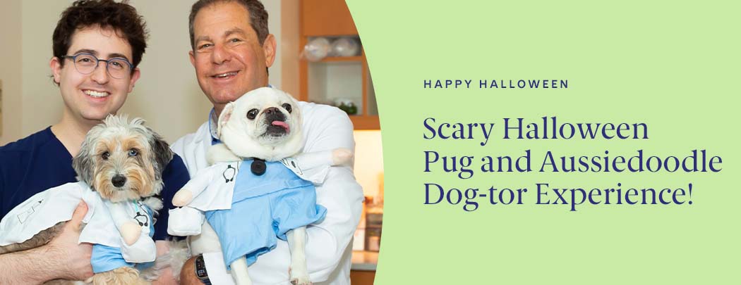 Two male doctors stand holding their dogs wearing doctor costumes. One dog is a white pug and one dog is a multicolor aussiedoodle.