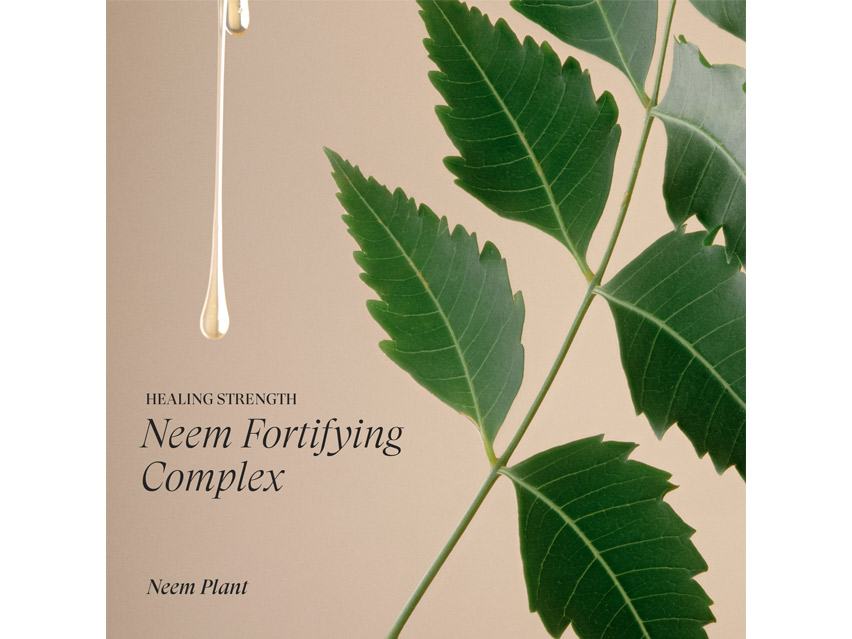 L&#39;ANZA Healing Strength Detangling Primer Leave-In Conditioner