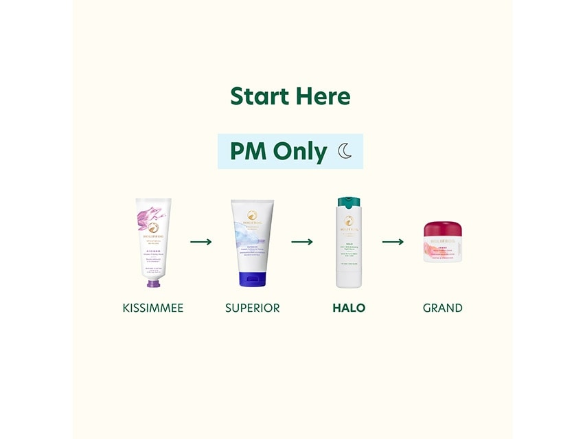 HoliFrog Halo Exfoliating AHA+BHA Evening Serum