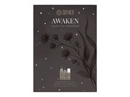 Surface Awaken Holiday Set - Limited Edition