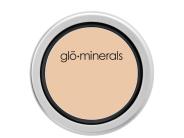glo minerals GloCamouflage Oil-Free - Natural: buy this glo minerals concealer.
