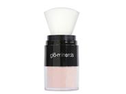glo minerals Protecting Powder SPF 30 - Translucent