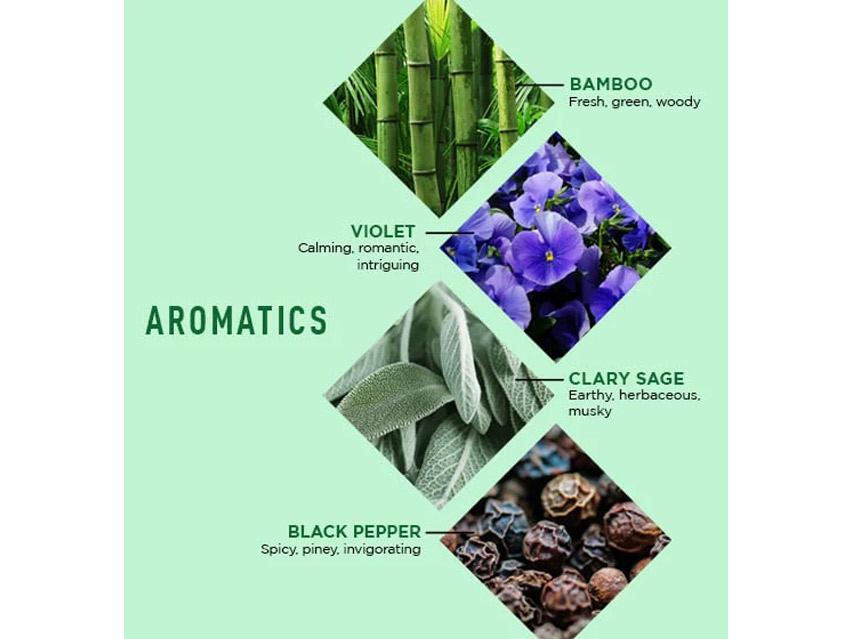 Jack Black JackZen Renewing Body Lotion