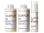 OLAPLEX Nourished Hair Essentials Set