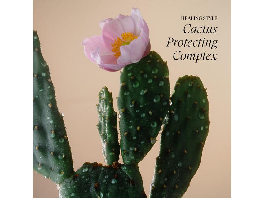 L&#39;ANZA Healing Style Dramatic Effects Finishing Hair Spray